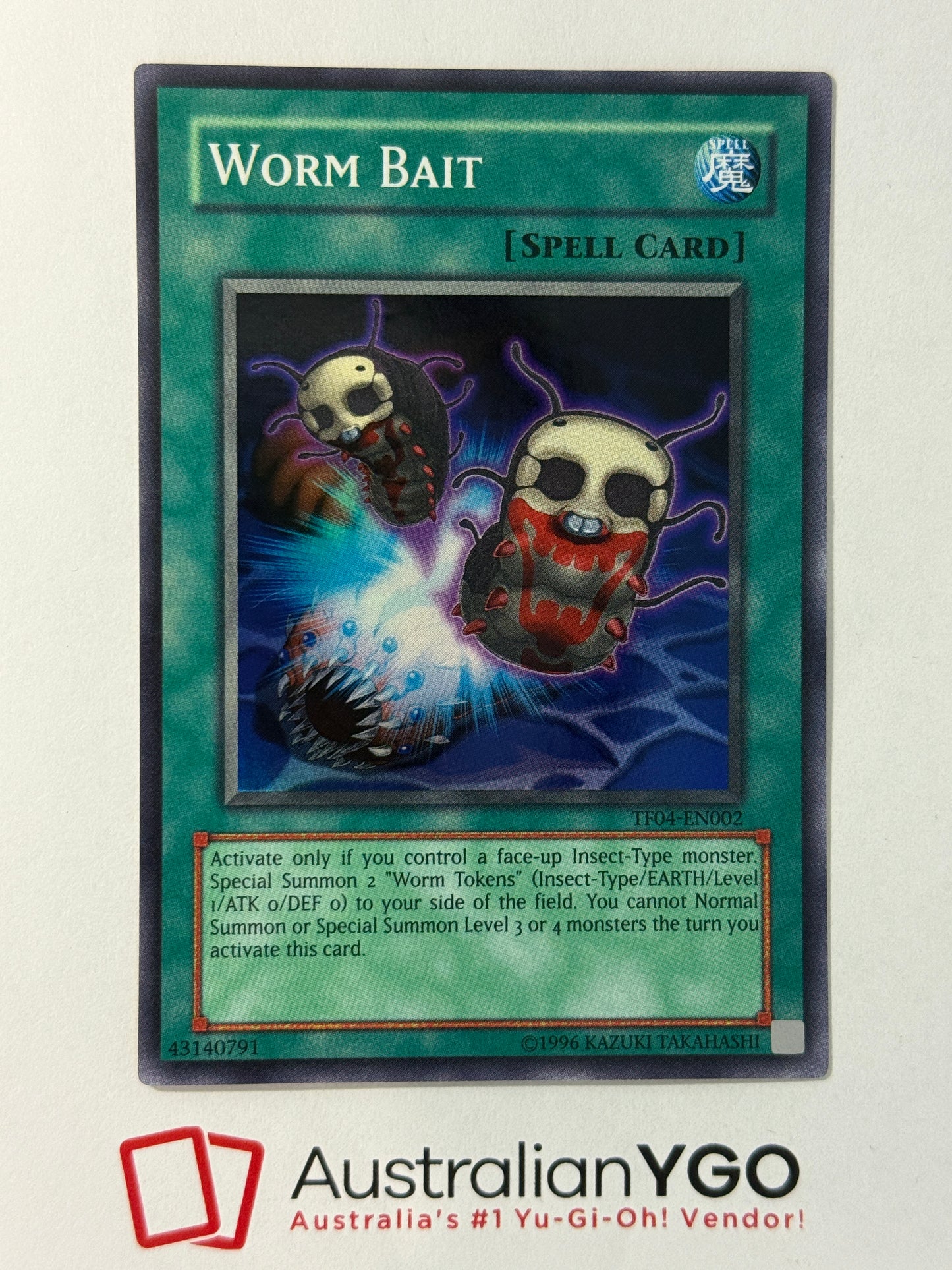 WORM BAIT TF04-EN002