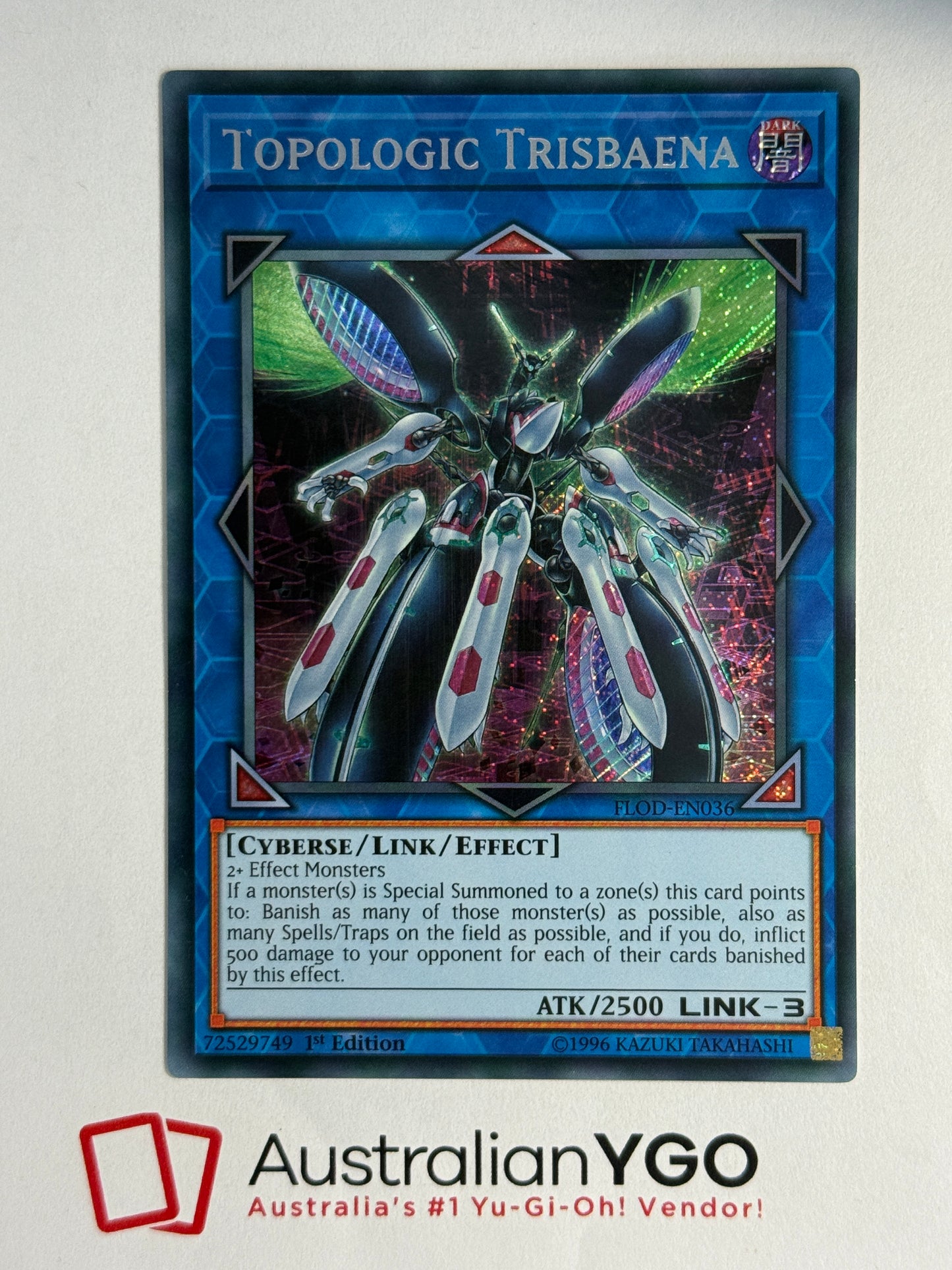 TOPOLOGIC TRISBAENA FLOD-EN036