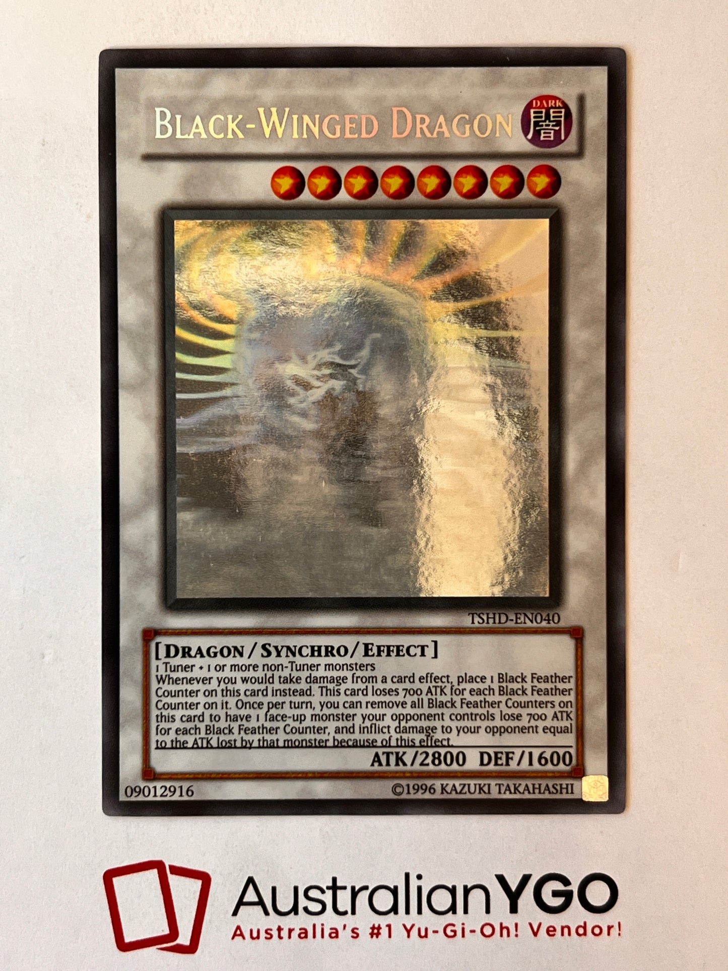 BLACK-WINGED DRAGON TSHD-EN040(Ghost)