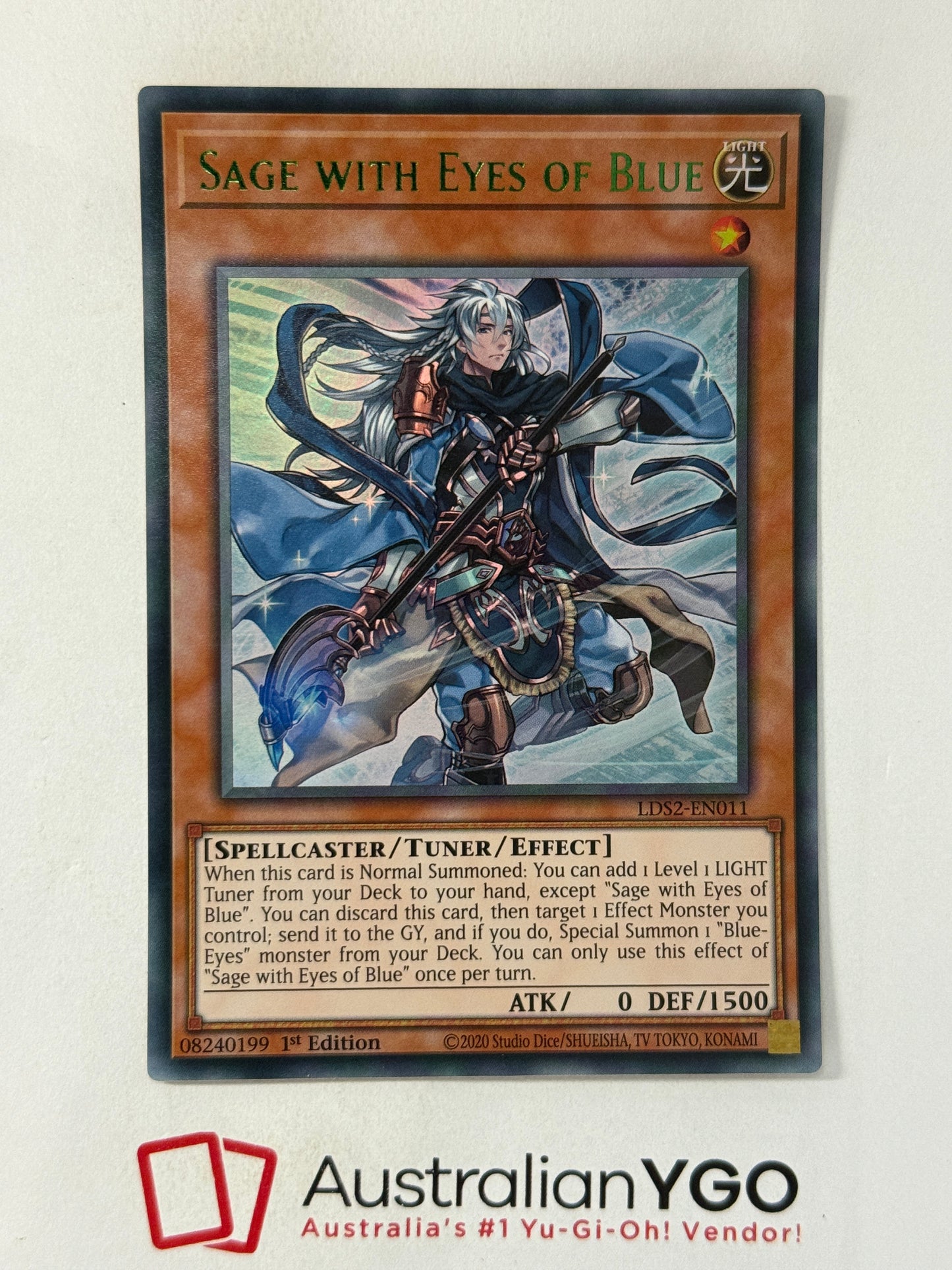 SAGE WITH EYES OF BLUE LDS2-EN011