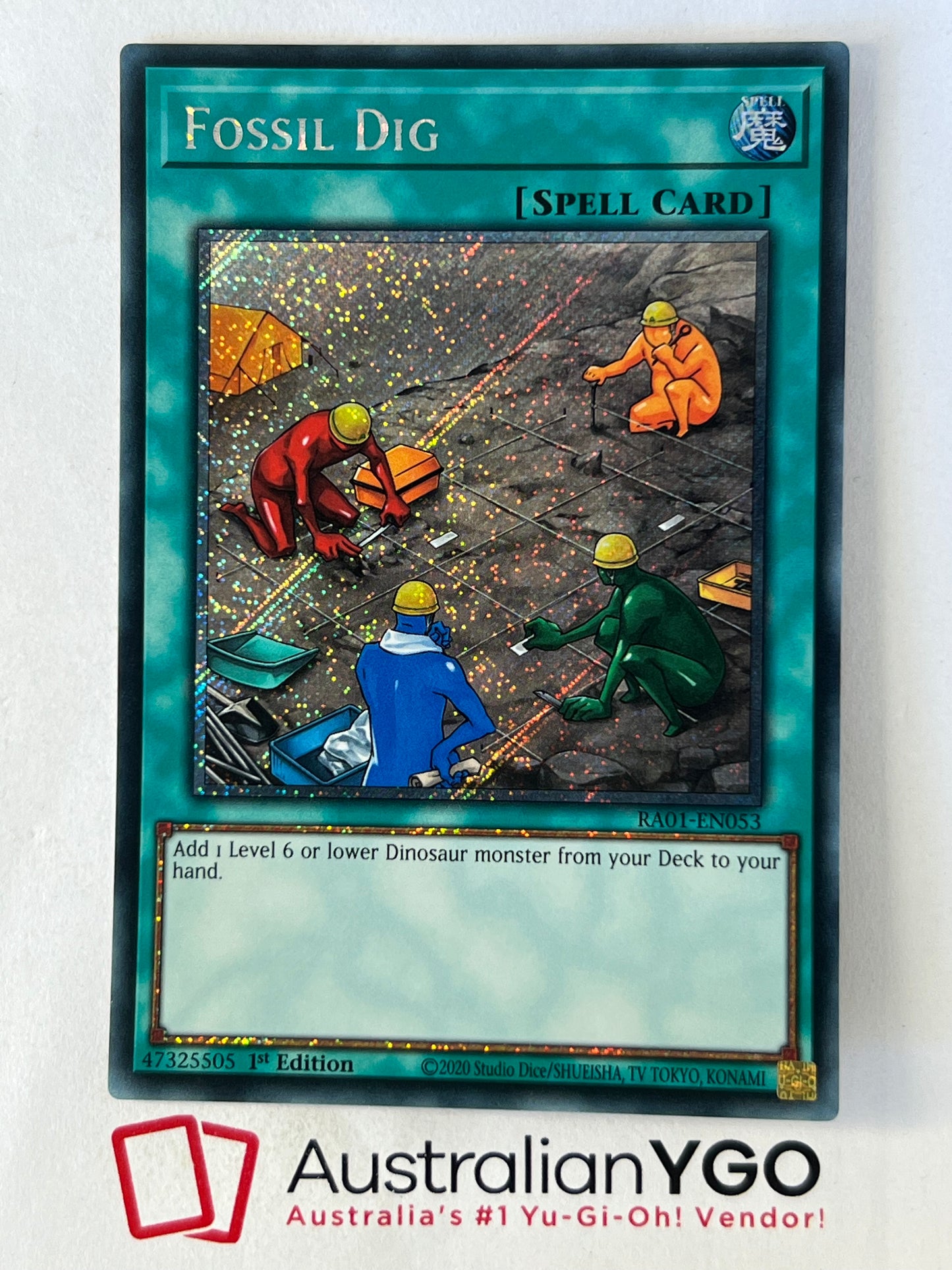FOSSIL DIG RA01-EN053
