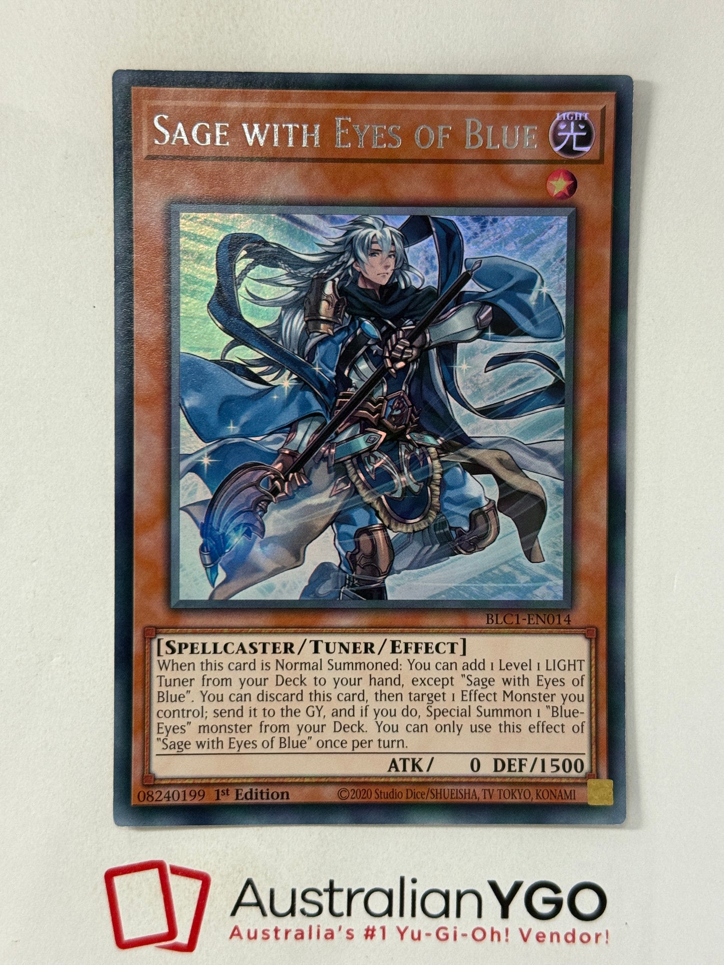 SAGE WITH EYES OF BLUE BLC1-EN014