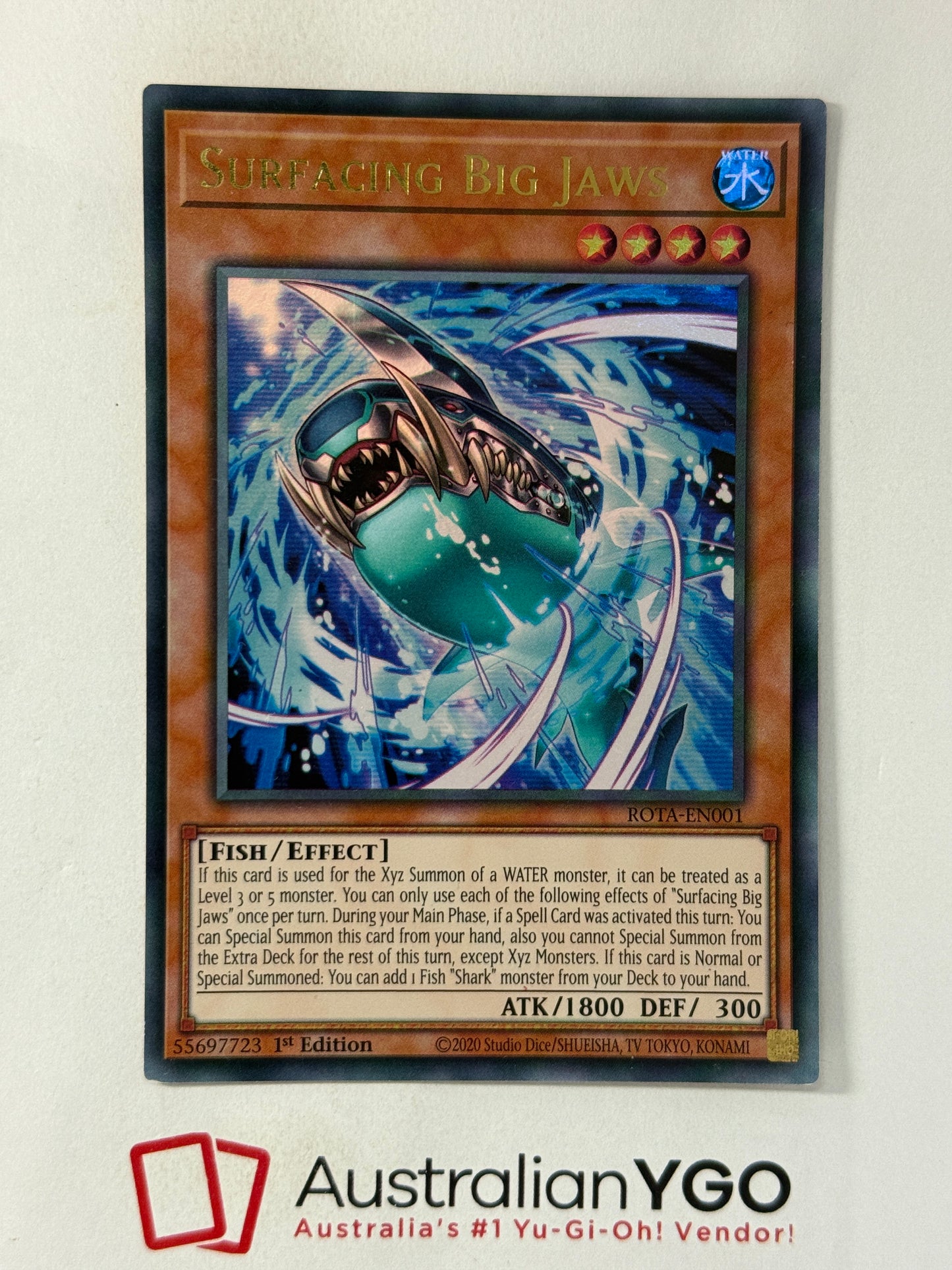SURFACING BIG JAWS ROTA-EN001
