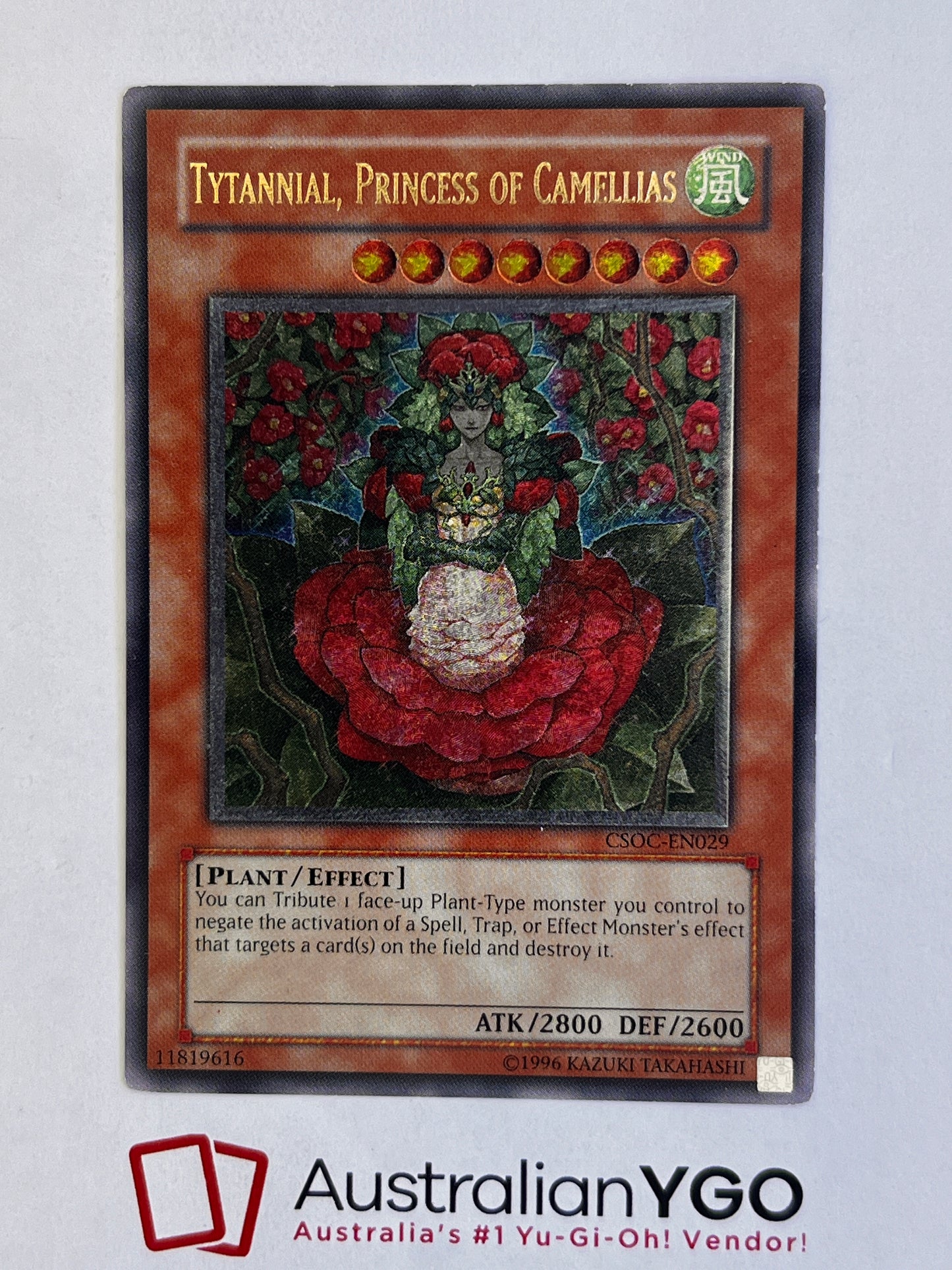 TYTANNIAL, PRINCESS OF CAMELLIAS (American) CSOC-EN029 (UTR)