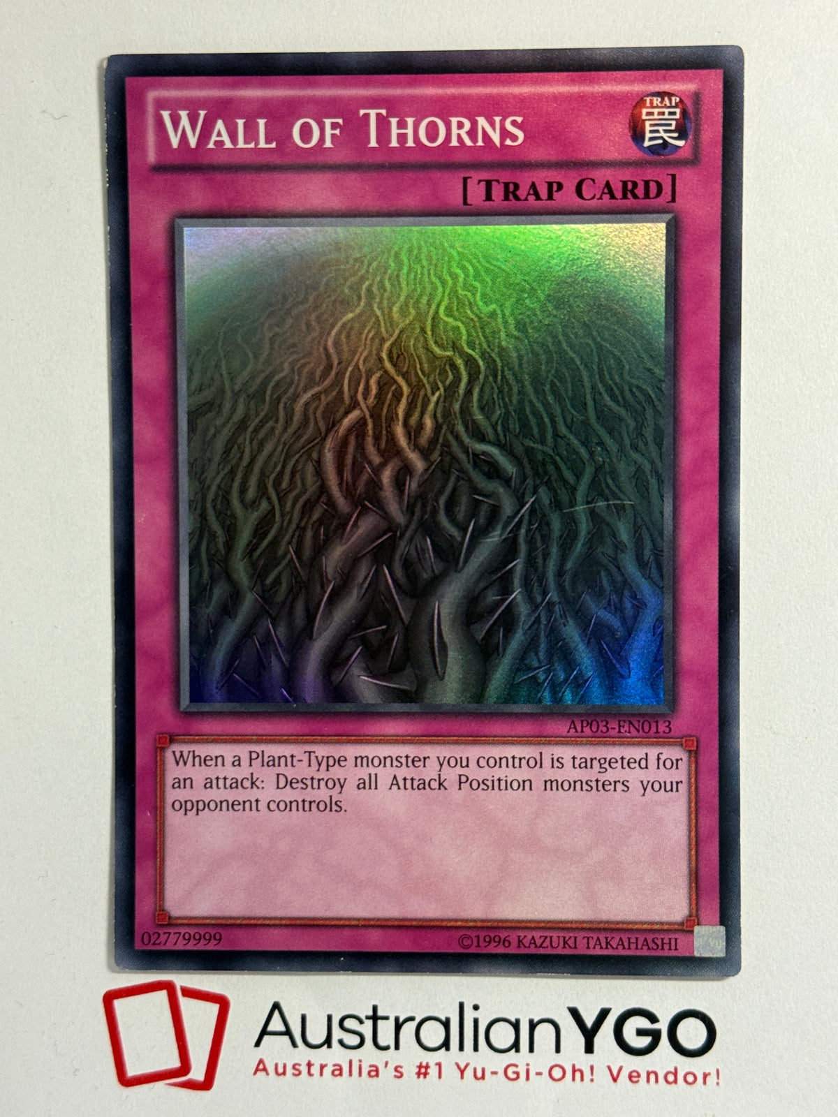 WALL OF THORNS AP03-EN013