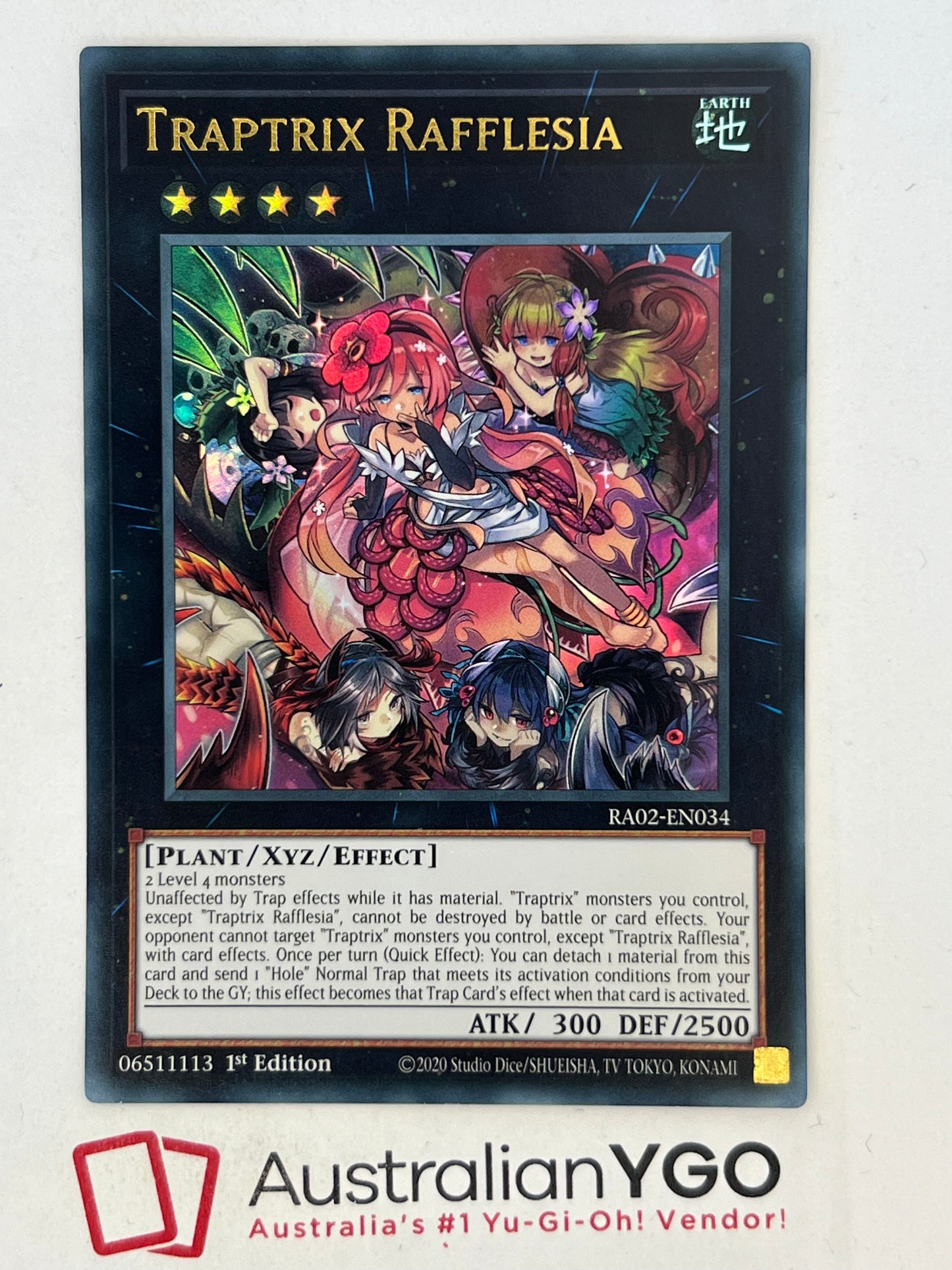TRAPTRIX RAFFLESIA RA02-EN034