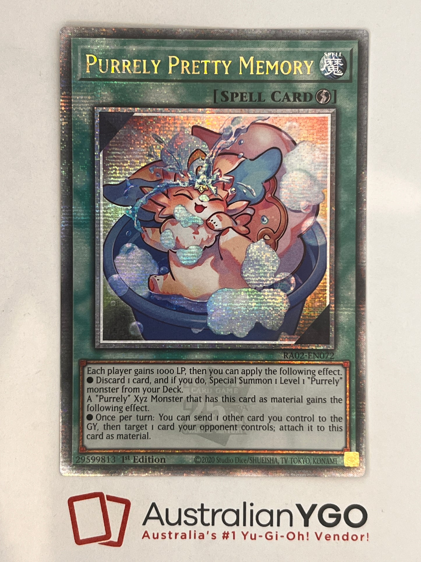 PURRELY PRETTY MEMORY RA02-EN072