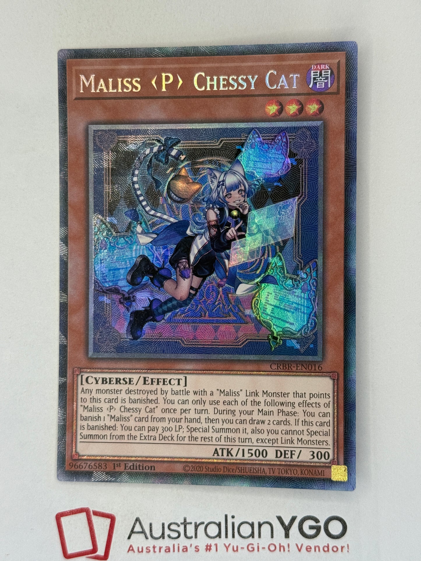 MALISS ‹P> CHESSY CAT CRBR-ENO16 (CR)