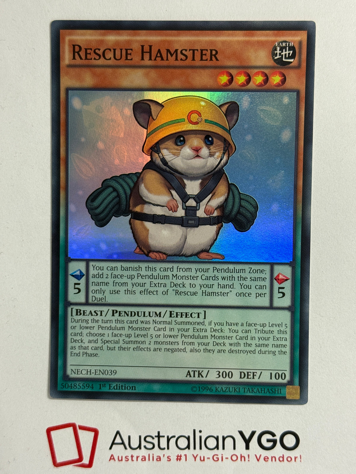 RESCUE HAMSTER NECH-EN039
