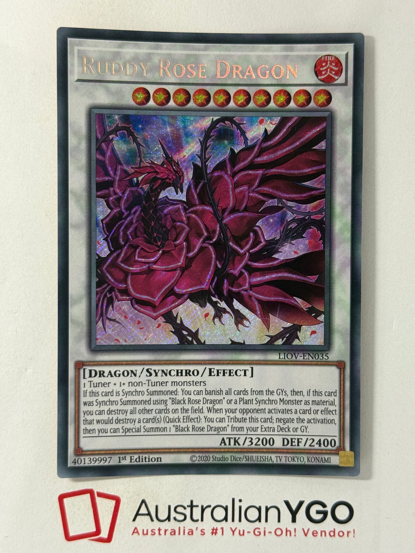 RUDDY ROSE DRAGON LIOV-ENO35