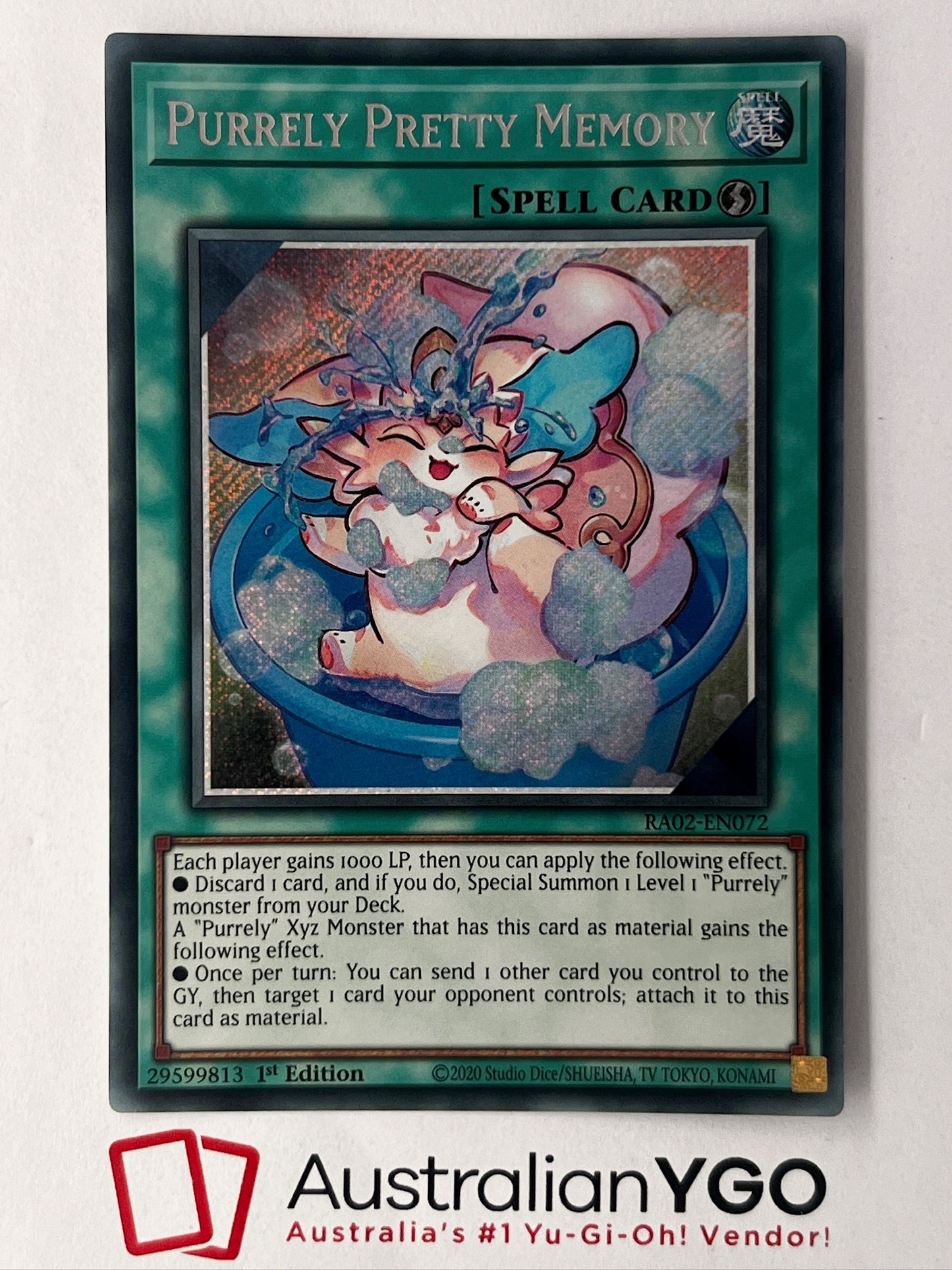 PURRELY PRETTY MEMORY RA02-EN072