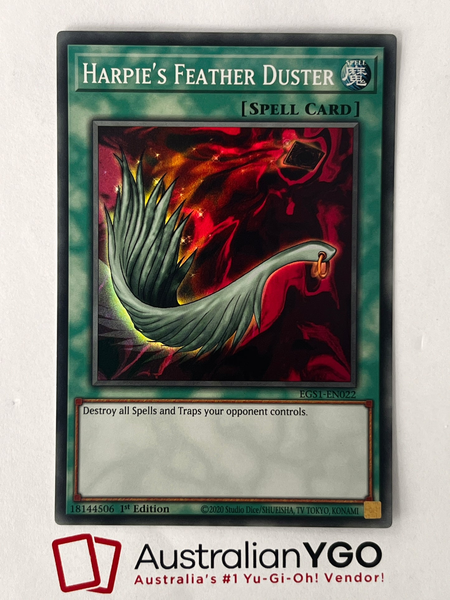 HARPIE'S FEATHER DUSTER EGSI-EN022