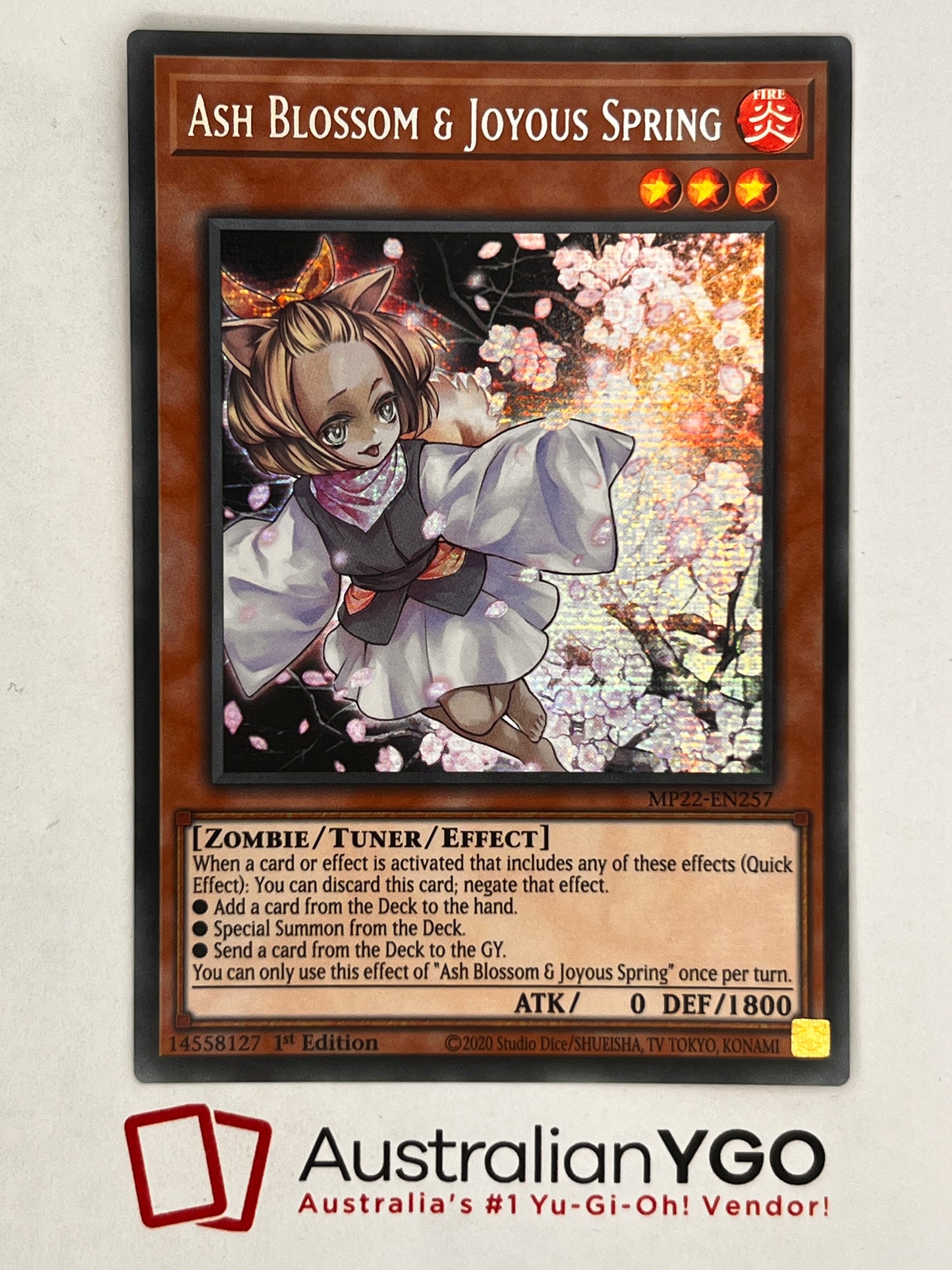 ASH BLOSSOM & JOYOUS SPRING MP22-EN257