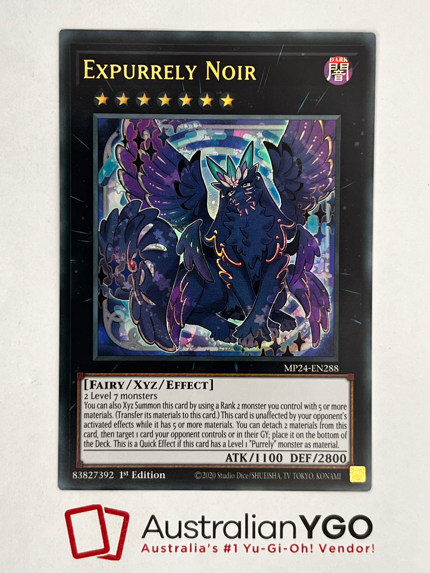 EXPURRELY NOIR MP24-EN288