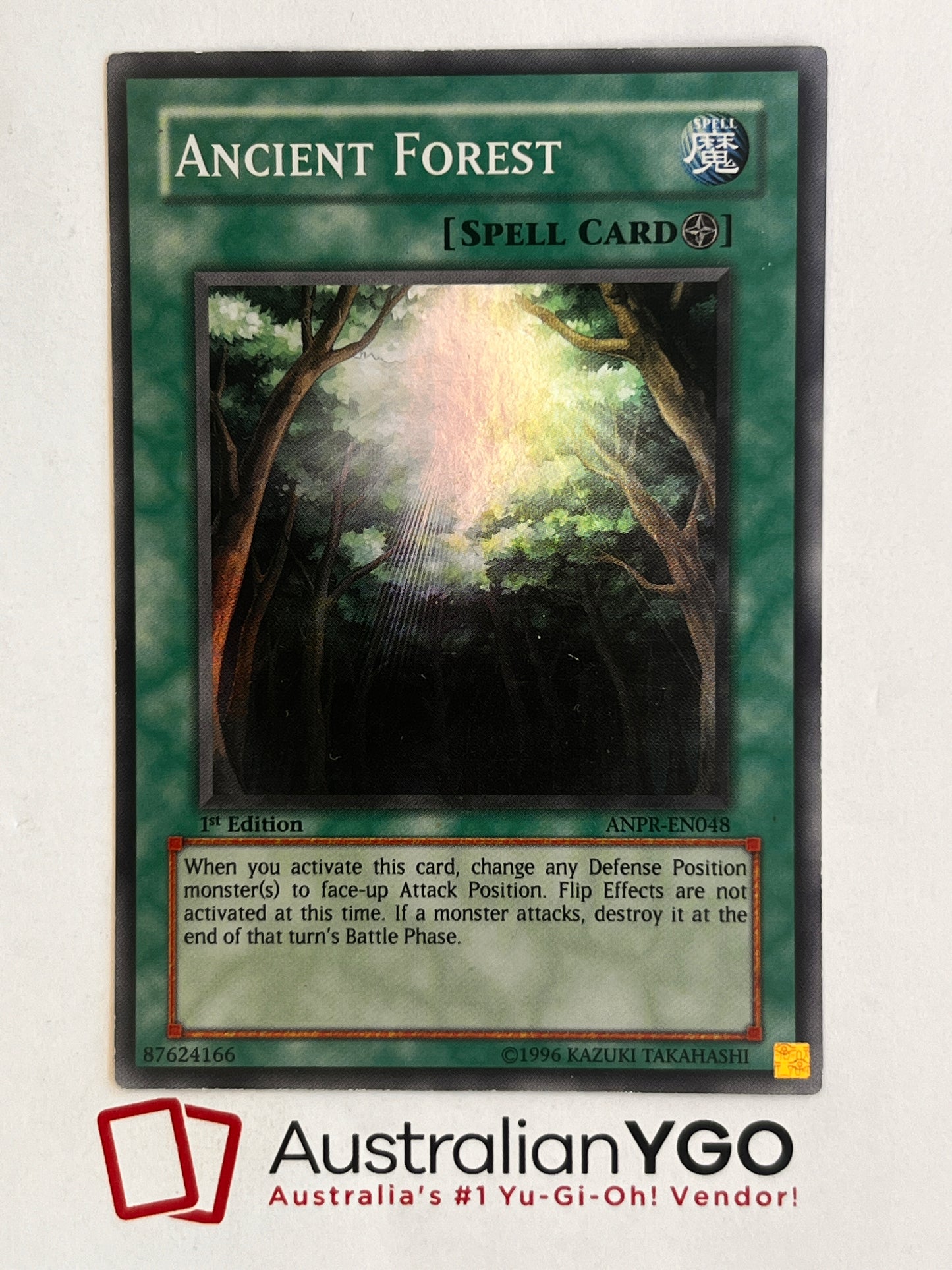 ANCIENT FOREST ANPR-EN048