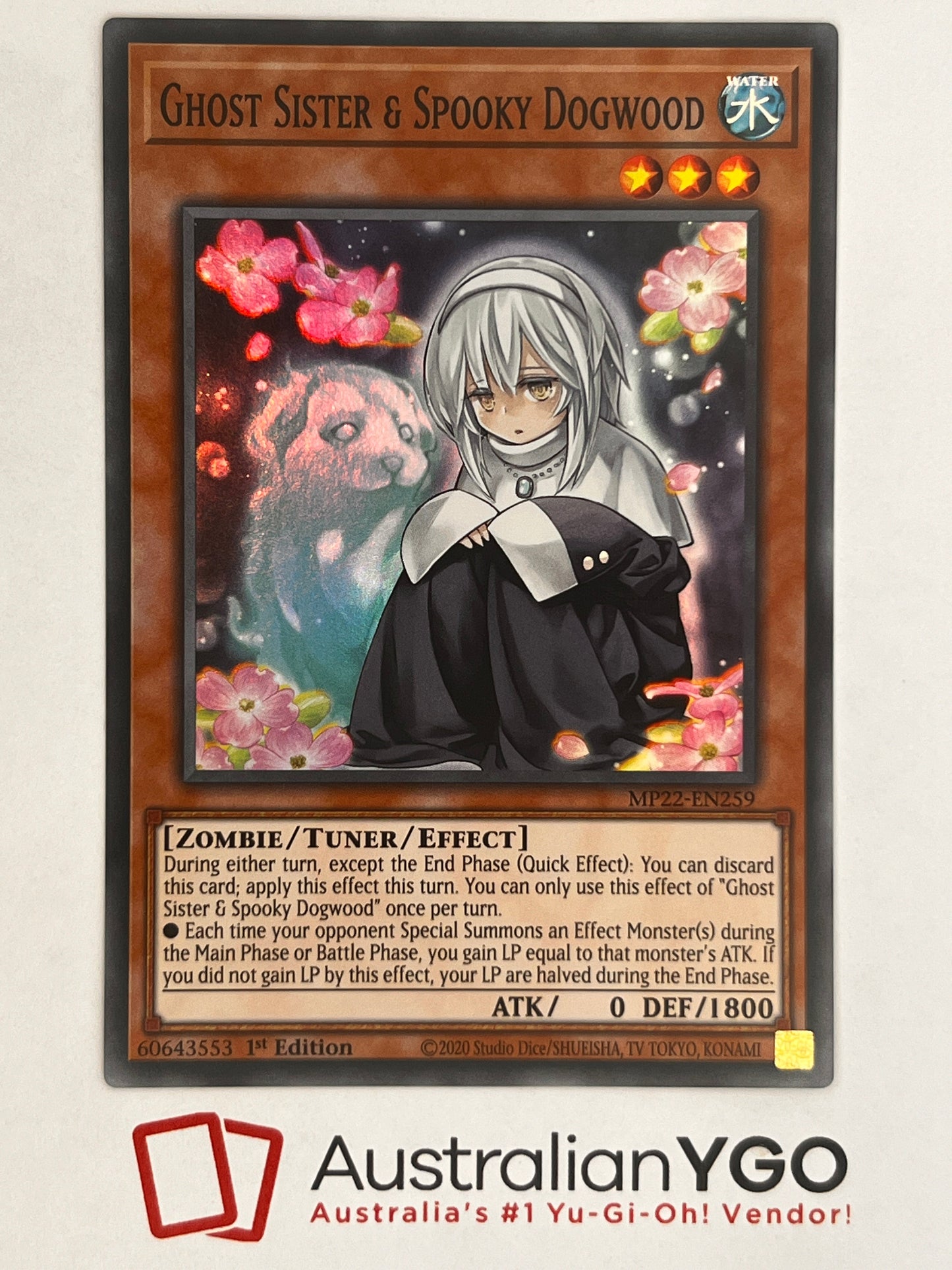 Ghost Sister & Spooky Dogwood MP22-EN259