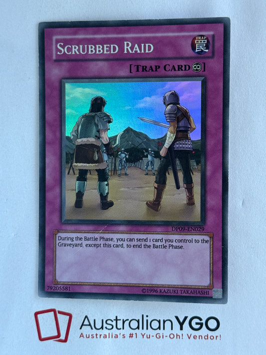 SCRUBBED RAID DP09-EN029