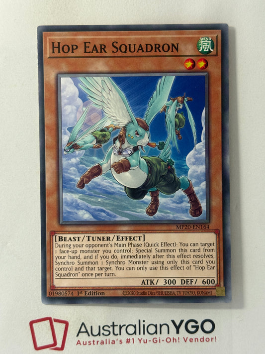 HOP EAR SQUADRON MP20-EN164