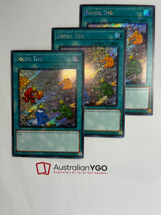 FOSSIL DIG RA01-EN053 (Playset)