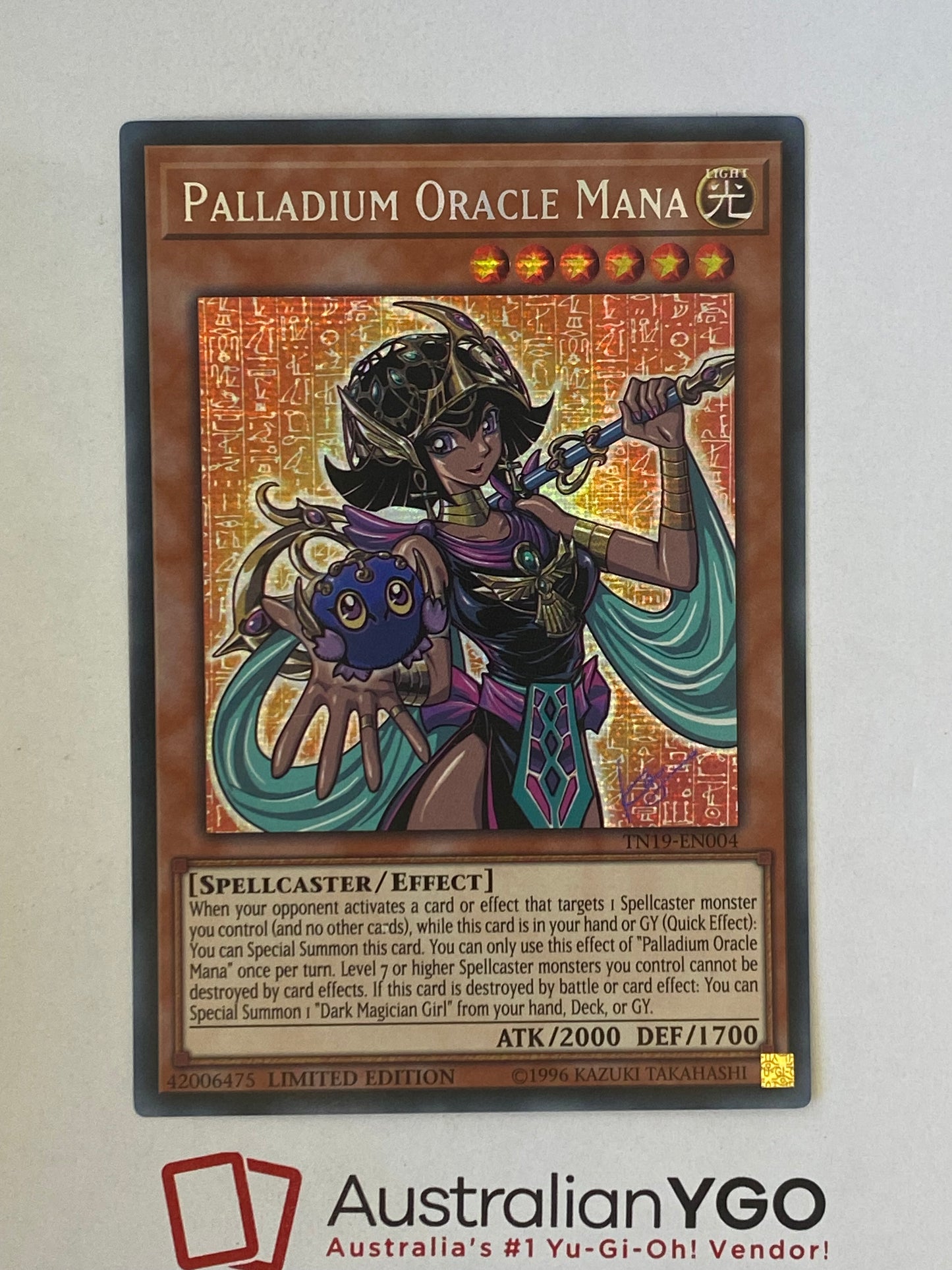 PALLADIUM ORACLE MANA TN19-EN004