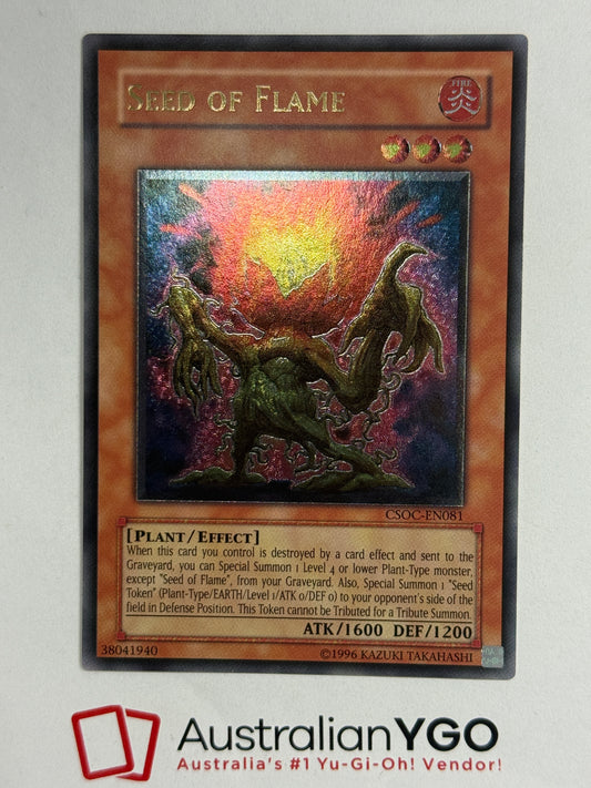 SEED OF FLAME CSOC-EN081 (UTR)