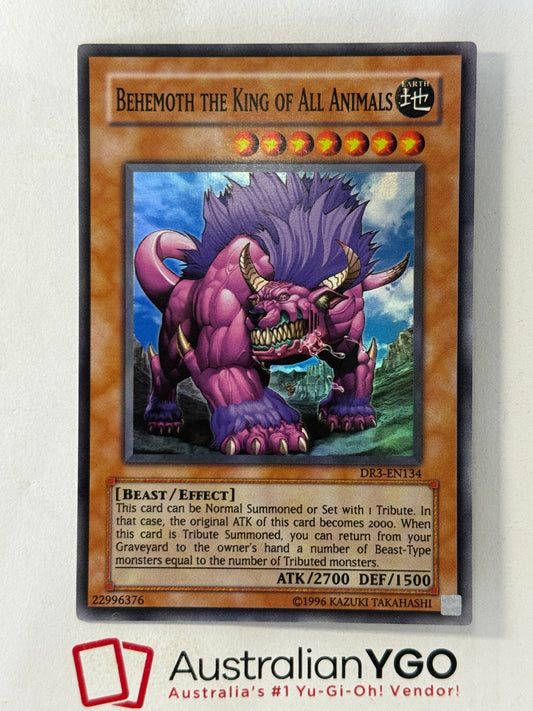 BEHEMOTH THE KING OF ALL ANIMALS DR3-EN134