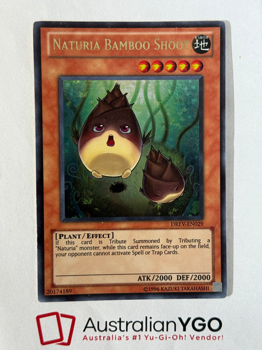 NATURIA BAMBOO SHOOT DREV-EN029