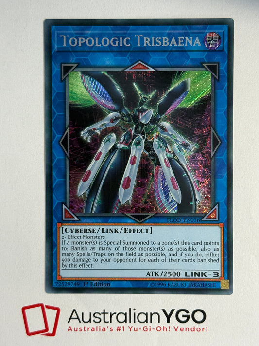TOPOLOGIC TRISBAENA FLOD-EN036