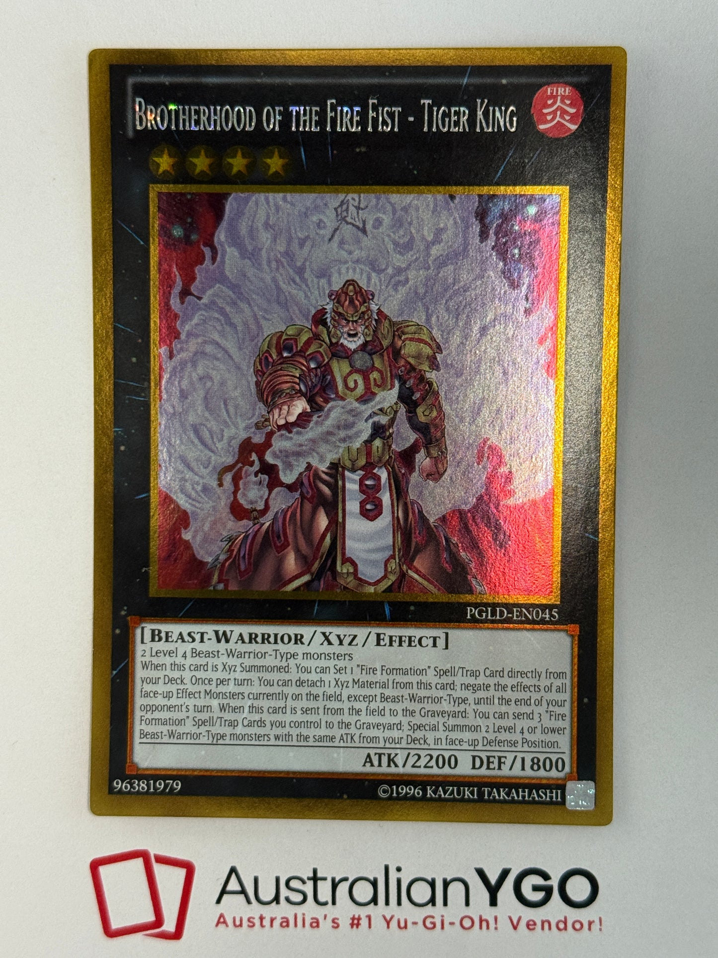 BROTHERHOOD OF THE FIRE FIST - TIGER KING PGLD-EN045