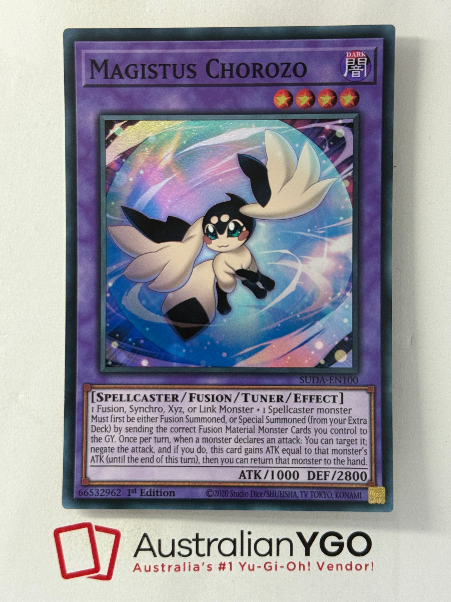 MAGISTUS CHOROZO SUDA-EN100