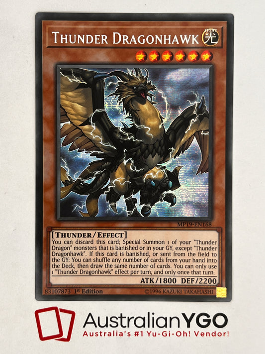 THUNDER DRAGONHAWK MP19-EN168