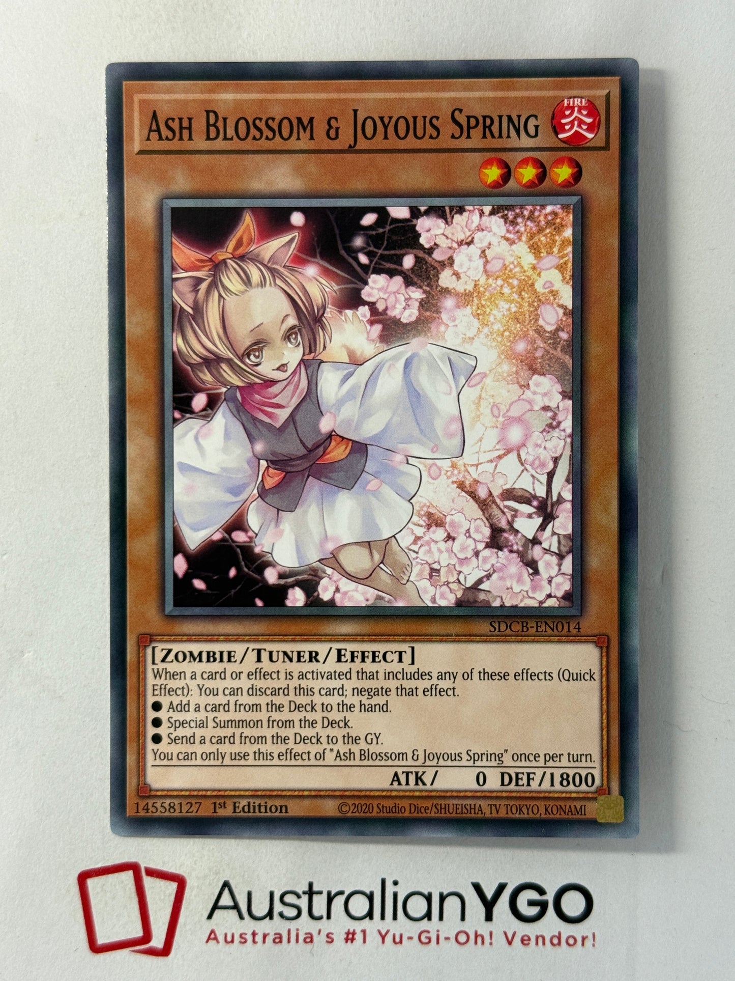 ASH BLOSSOM & JOYOUS SPRING SDCB-EN014