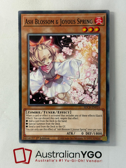ASH BLOSSOM & JOYOUS SPRING SDCB-EN014