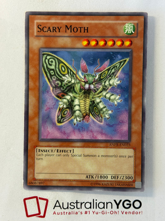 SCARY MOTH ANPR-EN023