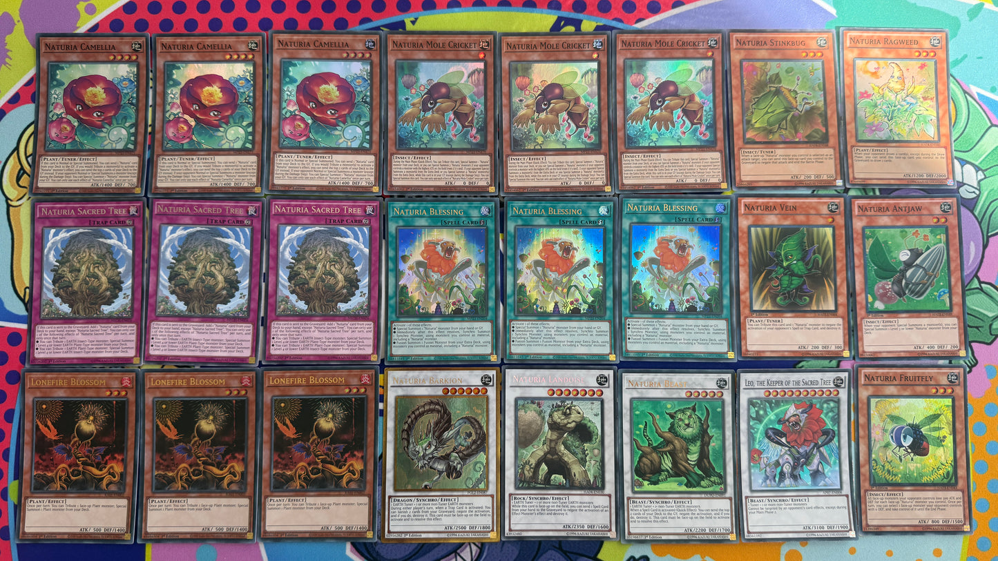 NATURIA Yugioh DECK CORE
