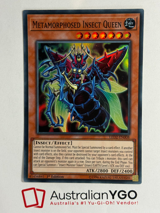 METAMORPHOSED INSECT QUEEN LED2-EN008