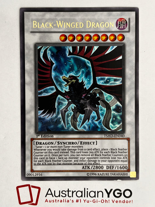 BLACK-WINGED DRAGON TSHD-EN040