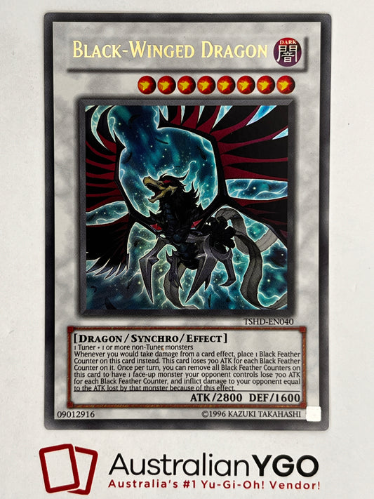 BLACK-WINGED DRAGON TSHD-EN040