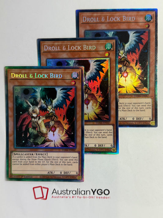 DROLL & LOCK BIRD TAMA-ENO47 (CR) Playset