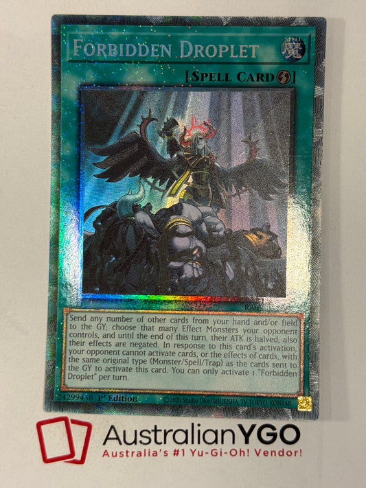 FORBIDDEN DROPLET RA01-EN064 (PCR)