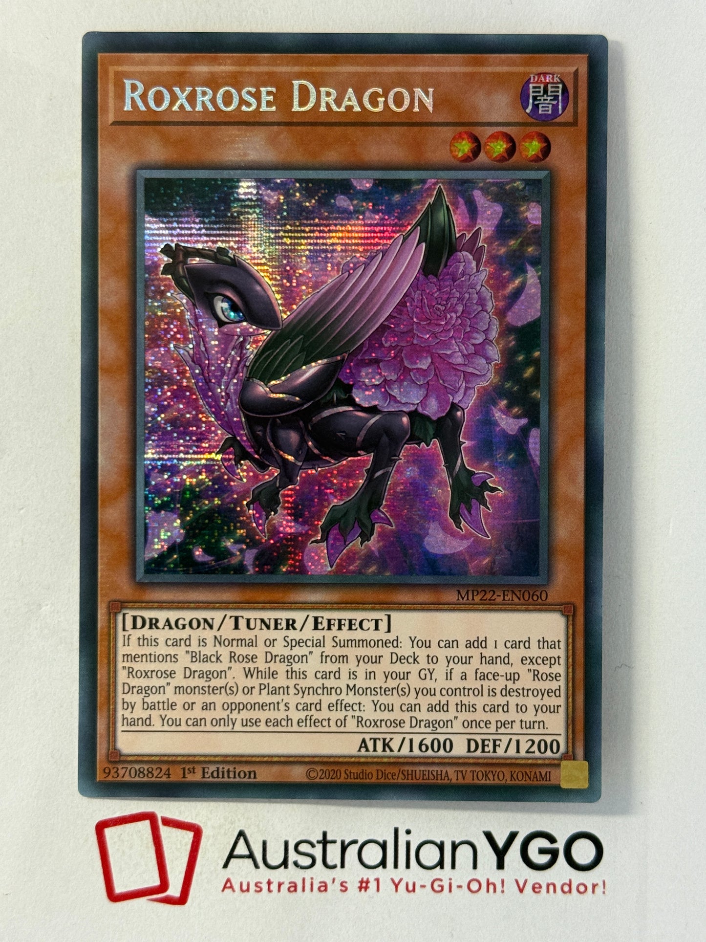 ROXROSE DRAGON MP22-EN060