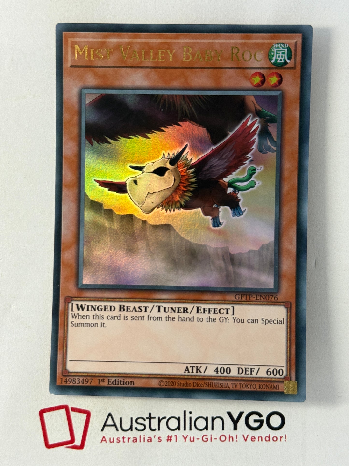 MIST VALLEY BABY ROC GFTP-EN076