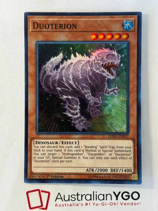 DUOTERION LEDU-EN037