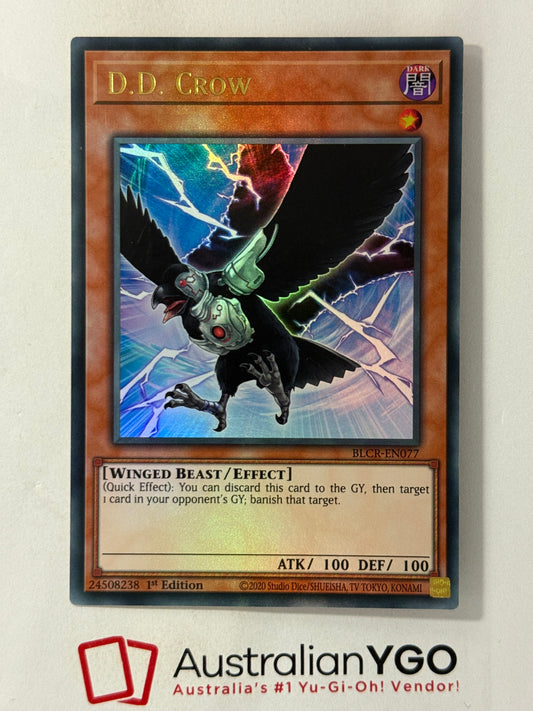 D.D. CROW BLCR-EN077