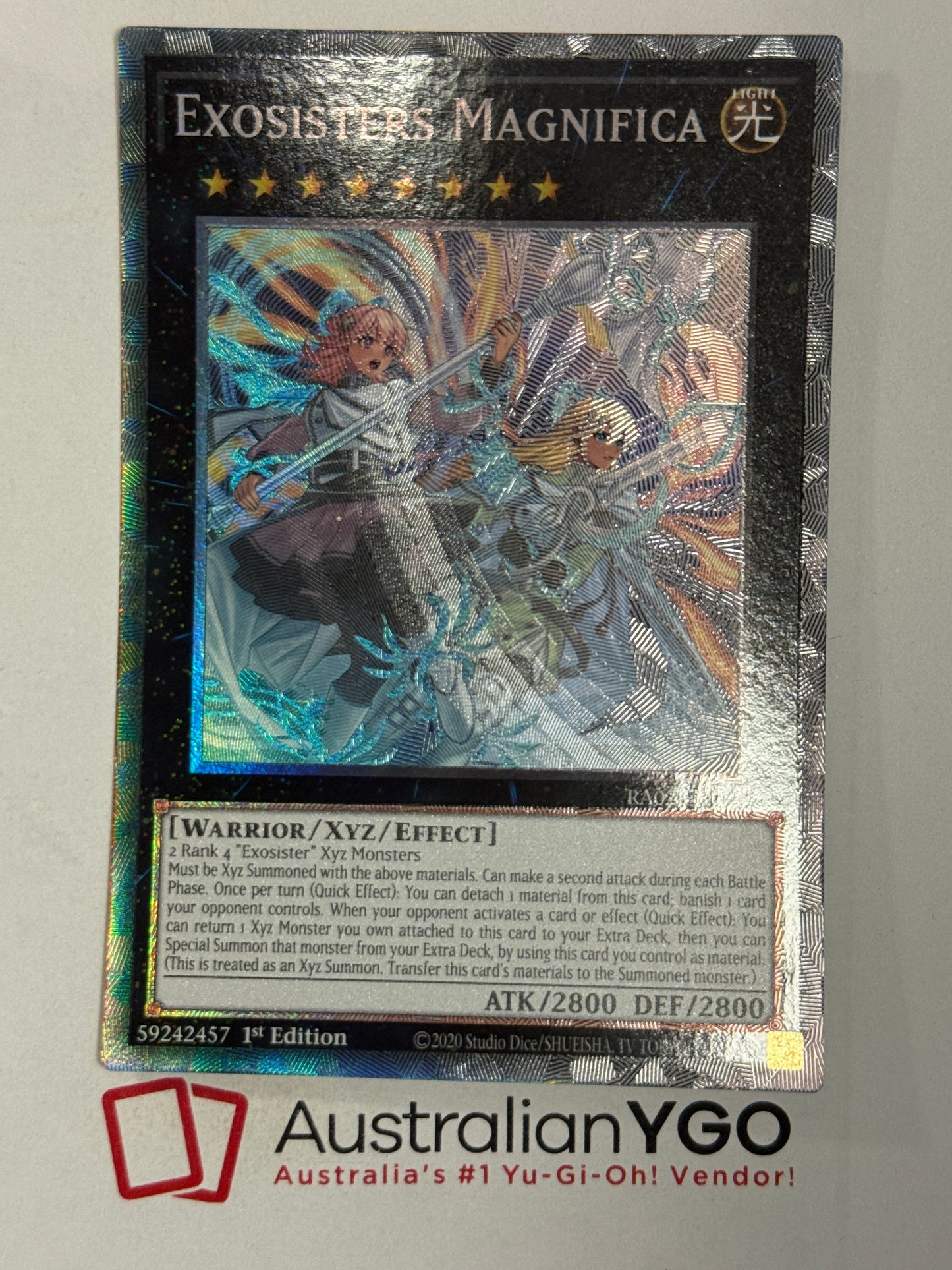 EXOSISTERS MAGNIFICA RA02-EN038 (PCR)