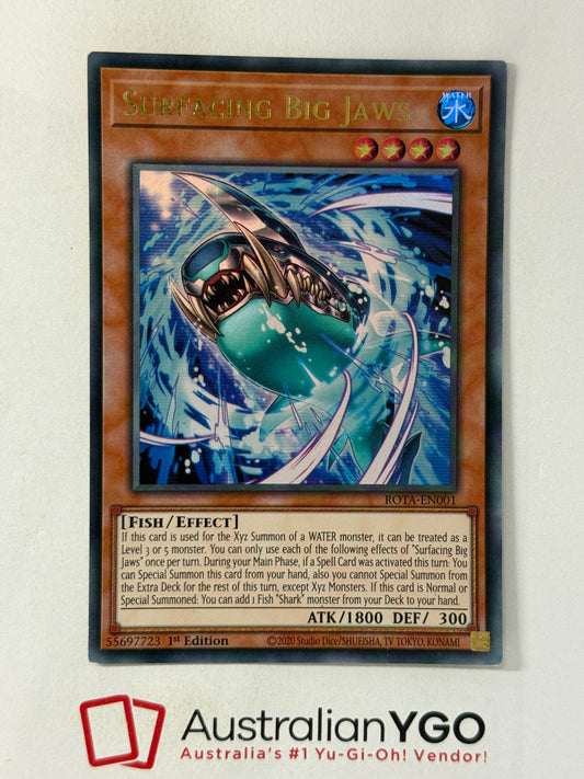 SURFACING BIG JAWS ROTA-EN001