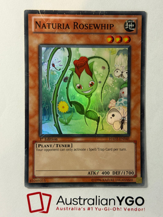 NATURIA ROSEWHIP HA02-EN041