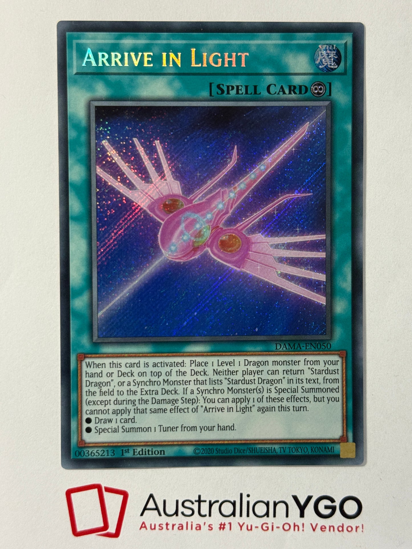 ARRIVE IN LIGHT DAMA-EN050