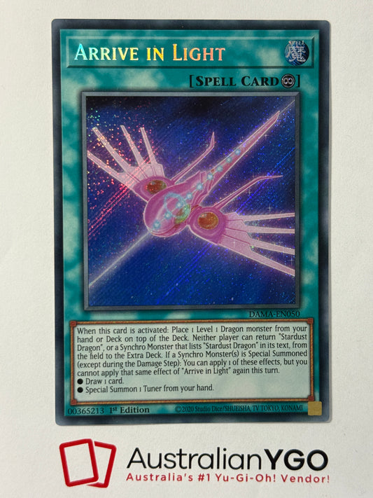 ARRIVE IN LIGHT DAMA-EN050