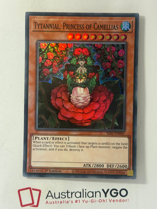 TYTANNIAL, PRINCESS OF CAMELLIAS SESL-ENO41